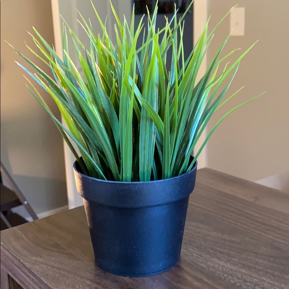 IKEA Accents Faux Grass Greenery From Ikea Poshmark